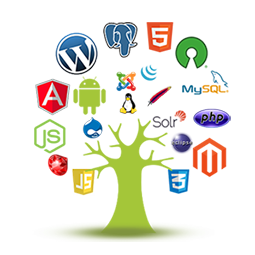 software-development